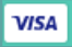 Visa Payment Option