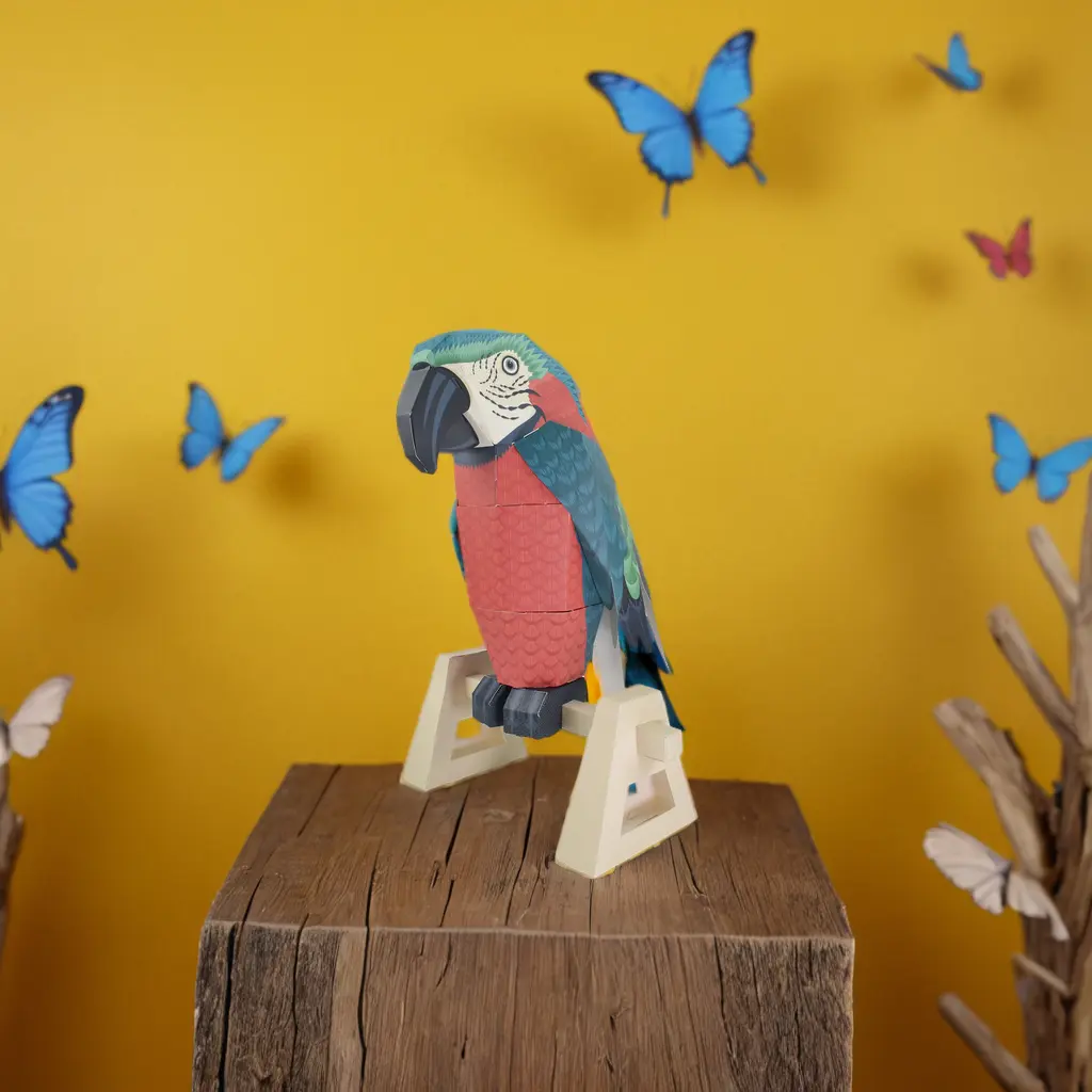 Cardboard Parrot Model